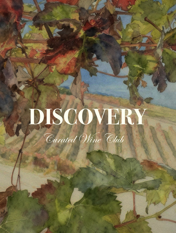 The Discovery Club