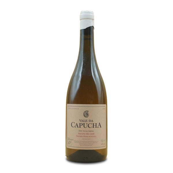 Vale da Capucha São José Branco 2018